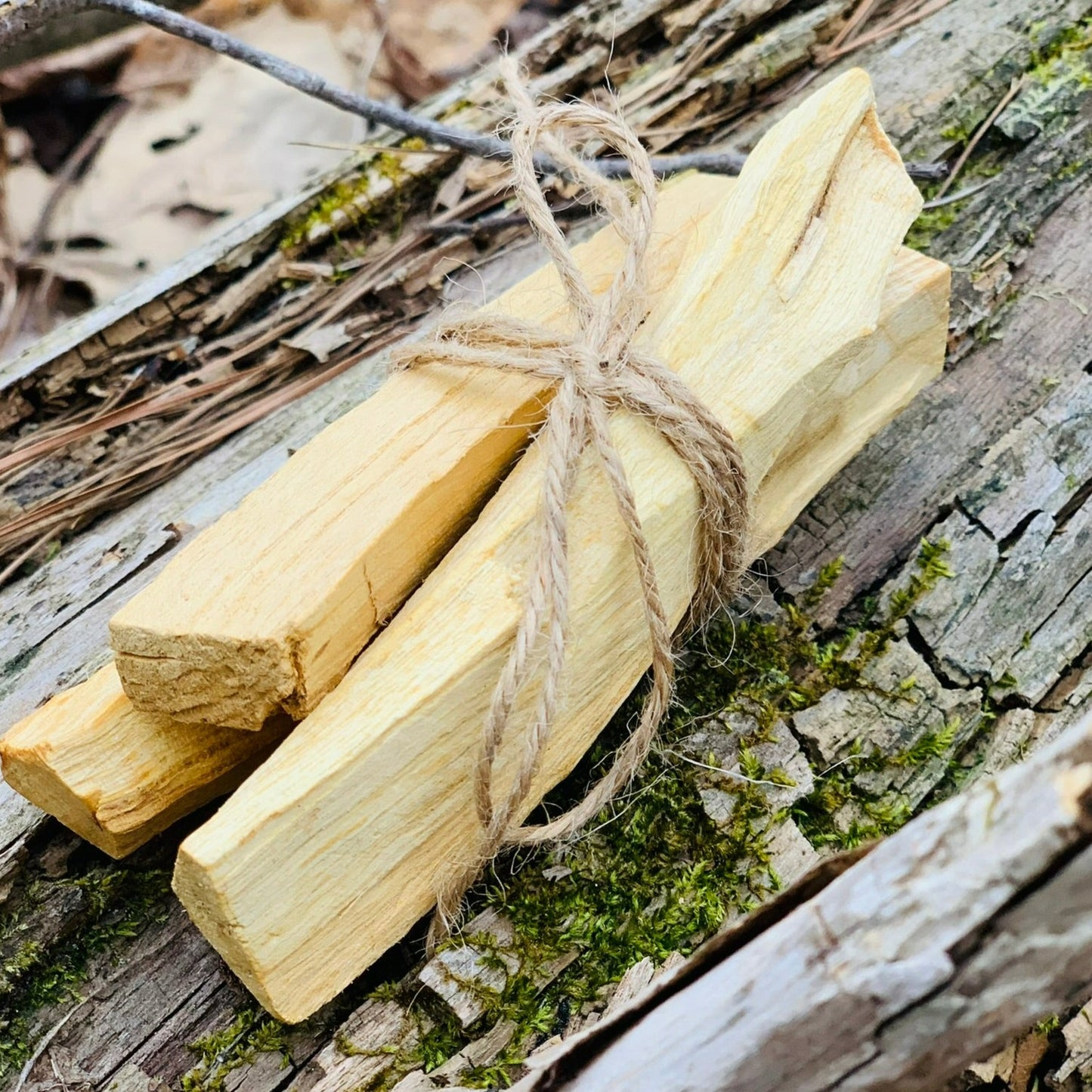 Palo Santo Bundle